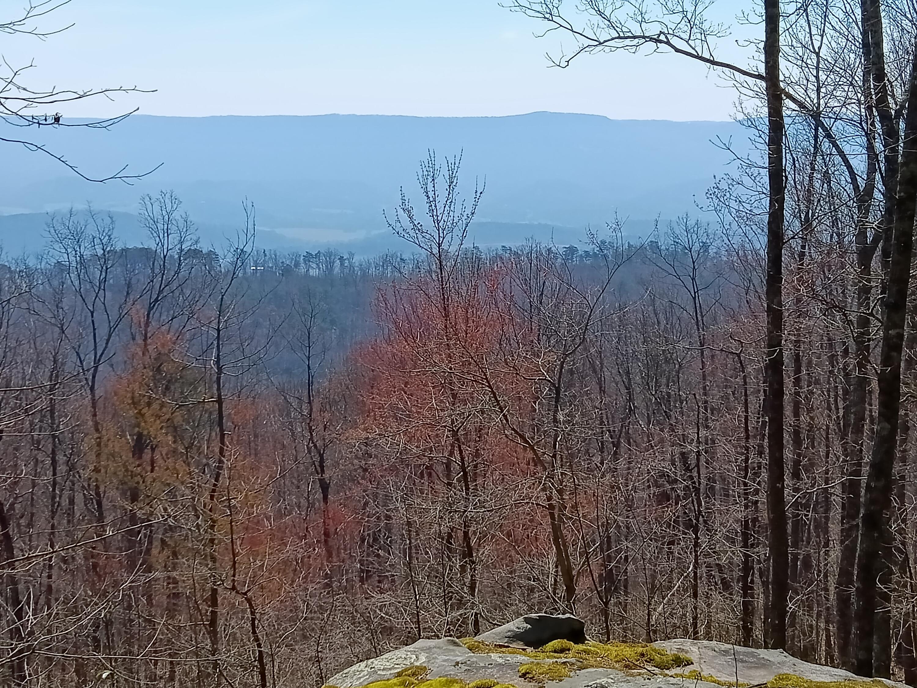 400 Maple Lane, Pikeville, Tennessee image 2