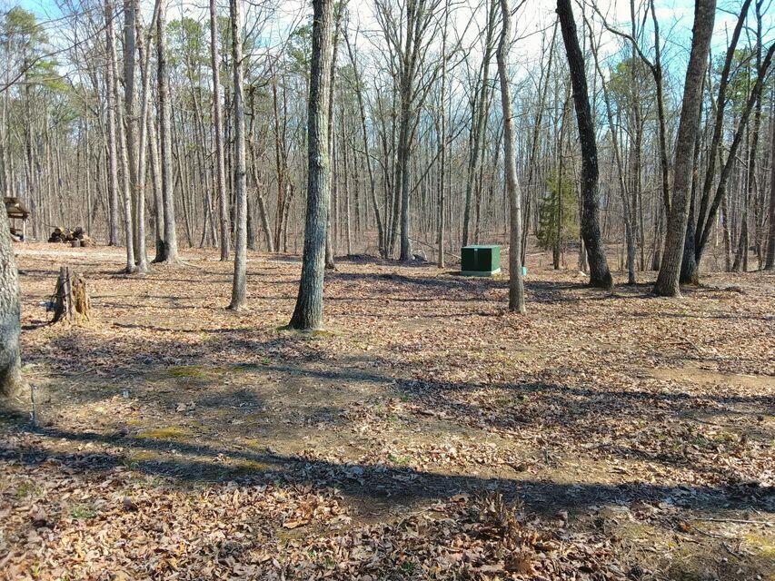 400 Maple Lane, Pikeville, Tennessee image 44