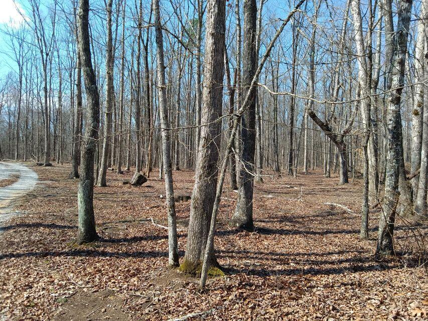 400 Maple Lane, Pikeville, Tennessee image 40