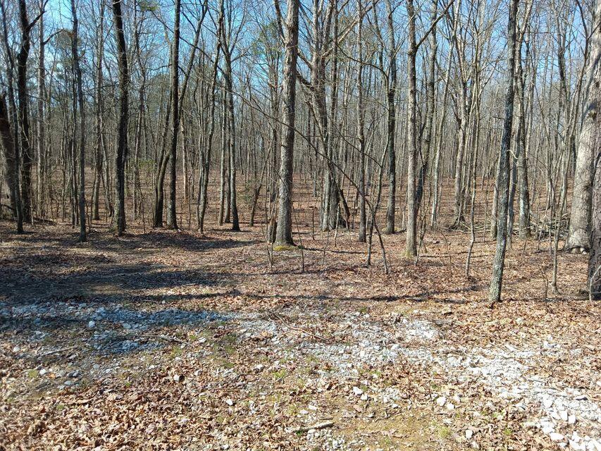 400 Maple Lane, Pikeville, Tennessee image 42