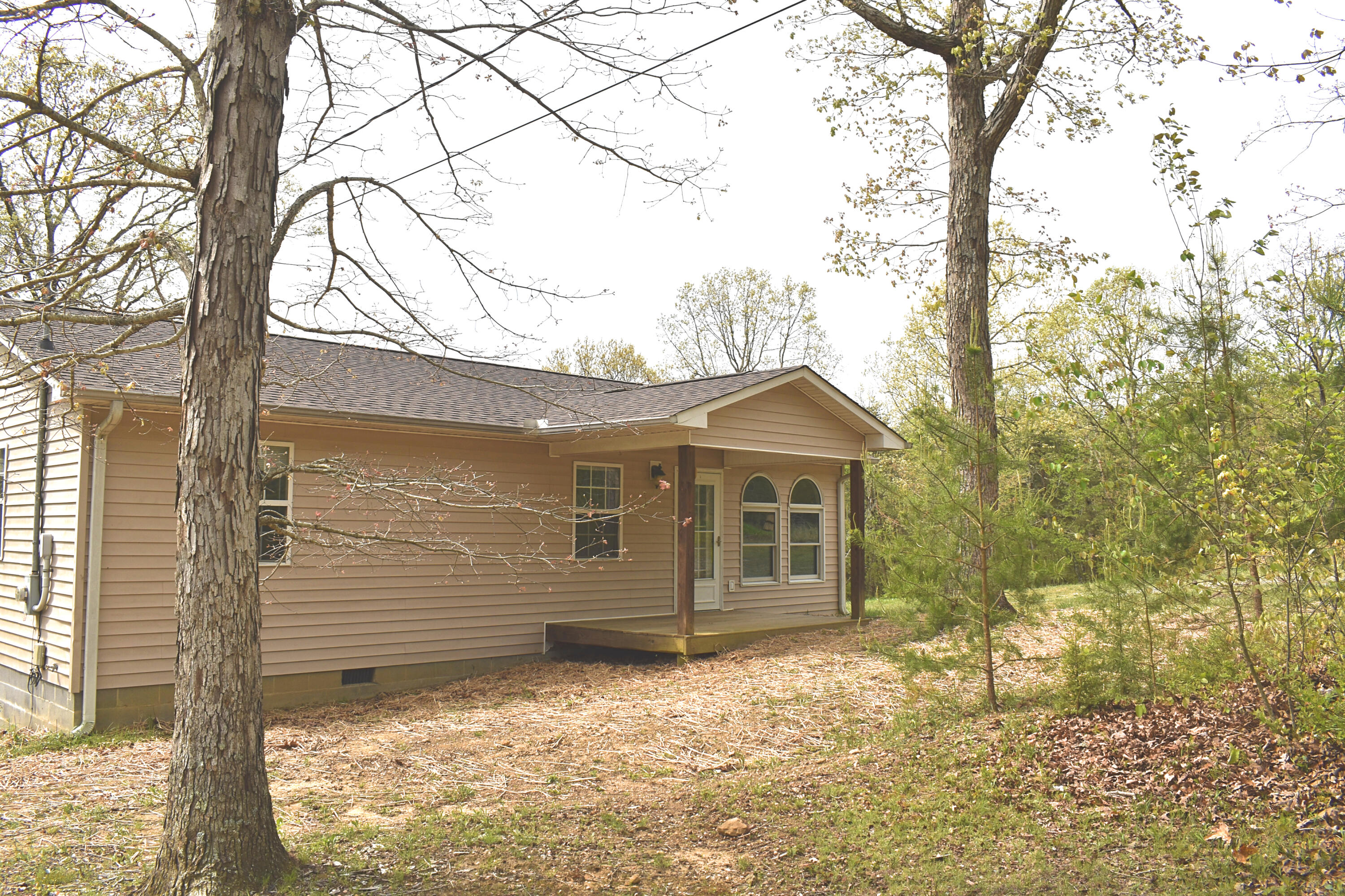 3816 Porch Rock Road, Pikeville, Tennessee image 3