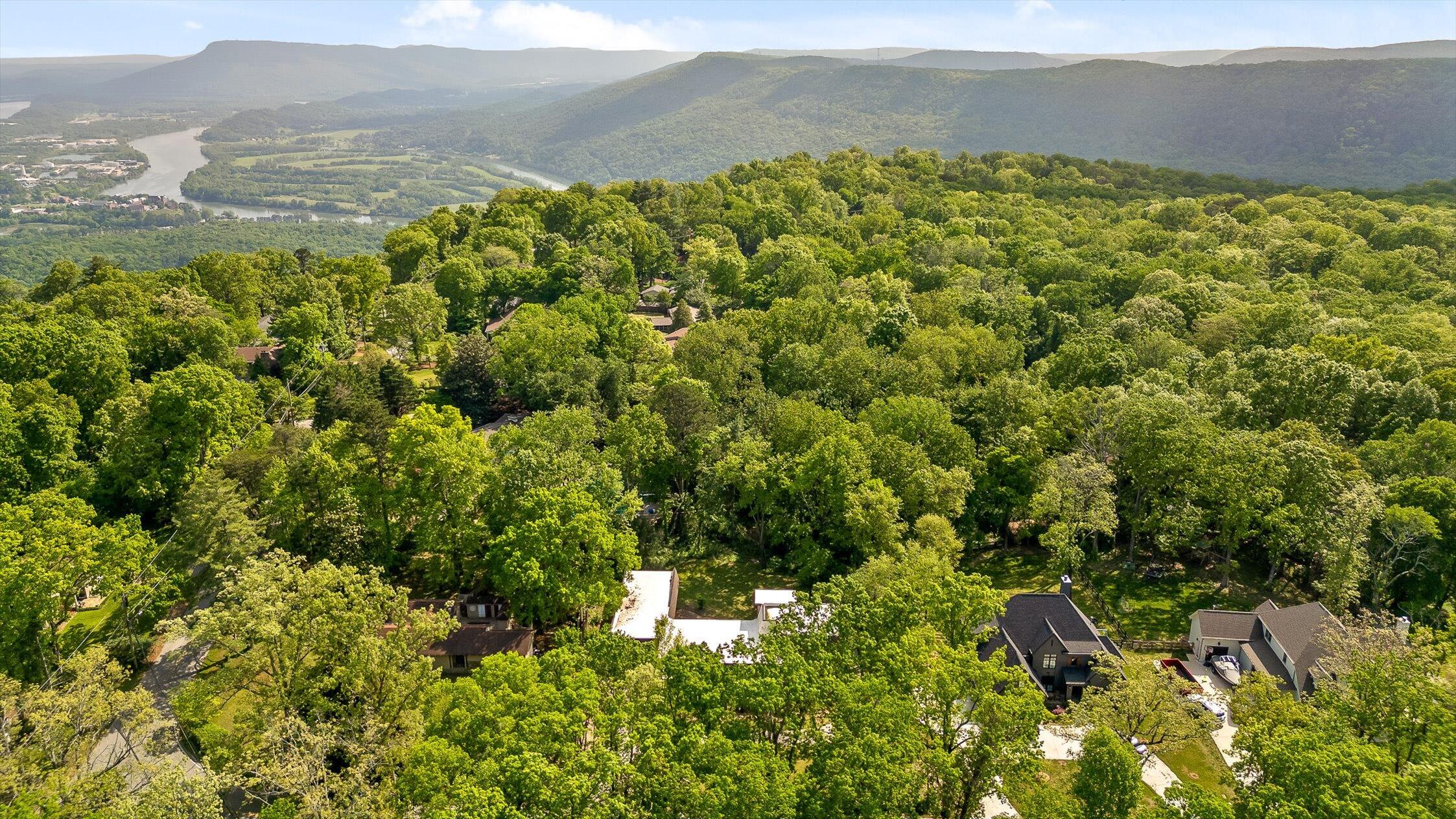 220 Palisades Drive, Signal Mountain, Tennessee image 46