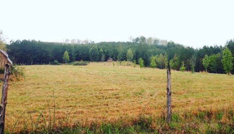 Tiny photo for 1596 Stewart Road, Graysville, TN 37338 (MLS # 1529492)