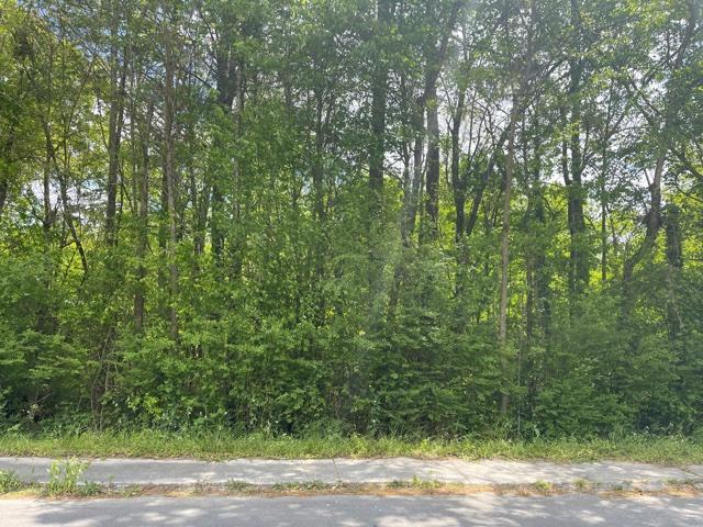 Photo 1 of 2 — 0 Mclemore Street, LaFayette, GA 30728