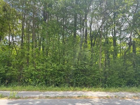 Photo of 0 Mclemore Street, LaFayette, GA 30728 (MLS # 1537400)