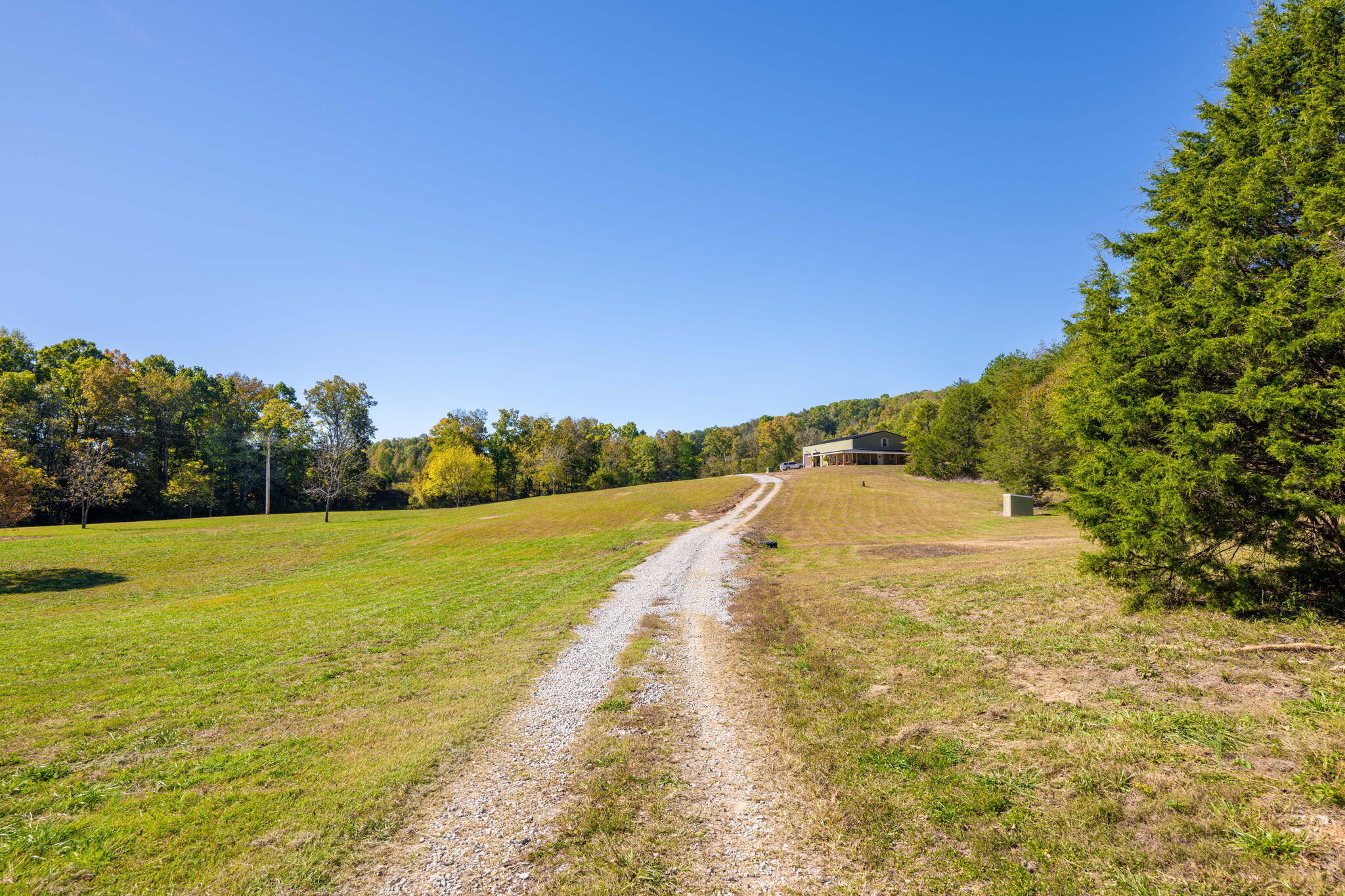 141 Humble Cemetery Road #134.34 ACRES, Pikeville, Tennessee image 44