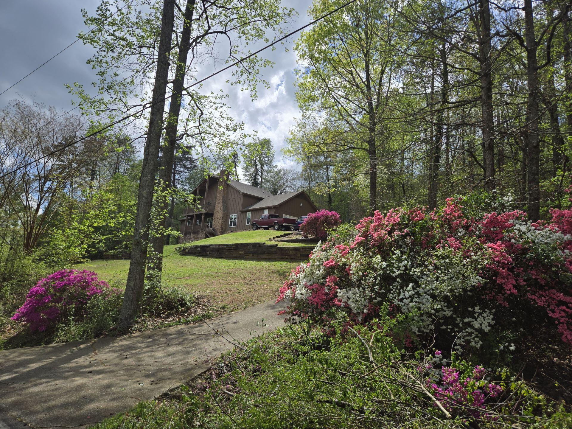 287 Clearview Drive, Ringgold, Georgia image 2