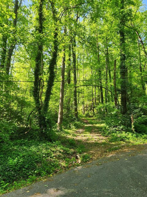 Photo of 0 Gaylord Street, Red Bank, TN 37415 (MLS # 1533011)