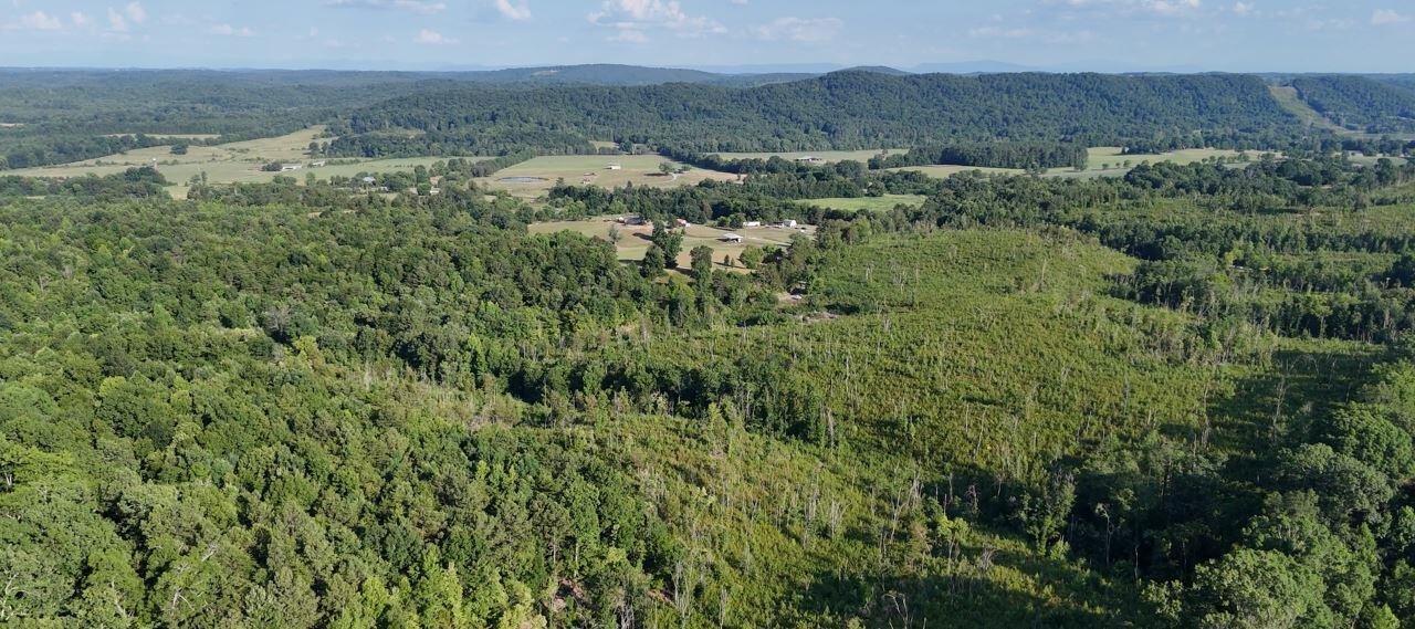 Big Sewee Lot 4 Road, Decatur, Tennessee image 9