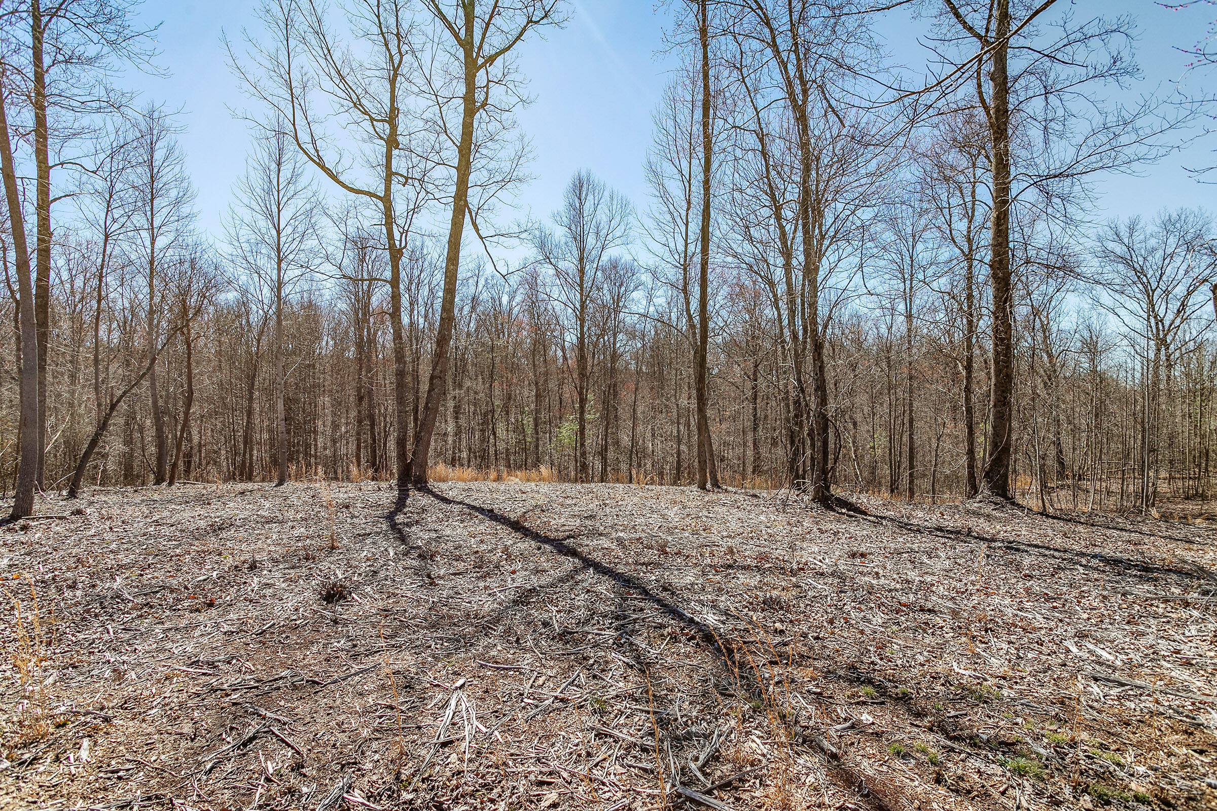 325 Whiskey Way #380, Jasper, Tennessee image 12