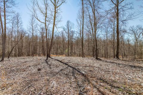 Tiny photo for 325 Whiskey Way, Jasper, TN 37347 (MLS # 1510877)