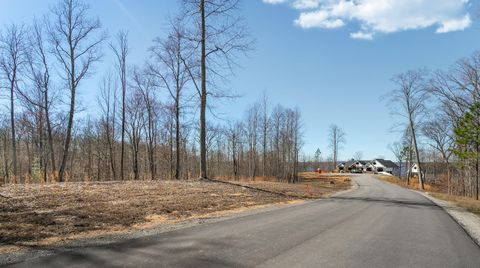 Tiny photo for 325 Whiskey Way, Jasper, TN 37347 (MLS # 1510877)