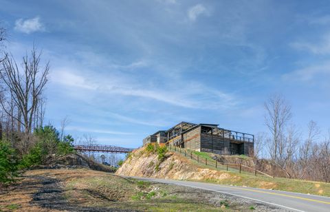 Tiny photo for 325 Whiskey Way, Jasper, TN 37347 (MLS # 1510877)