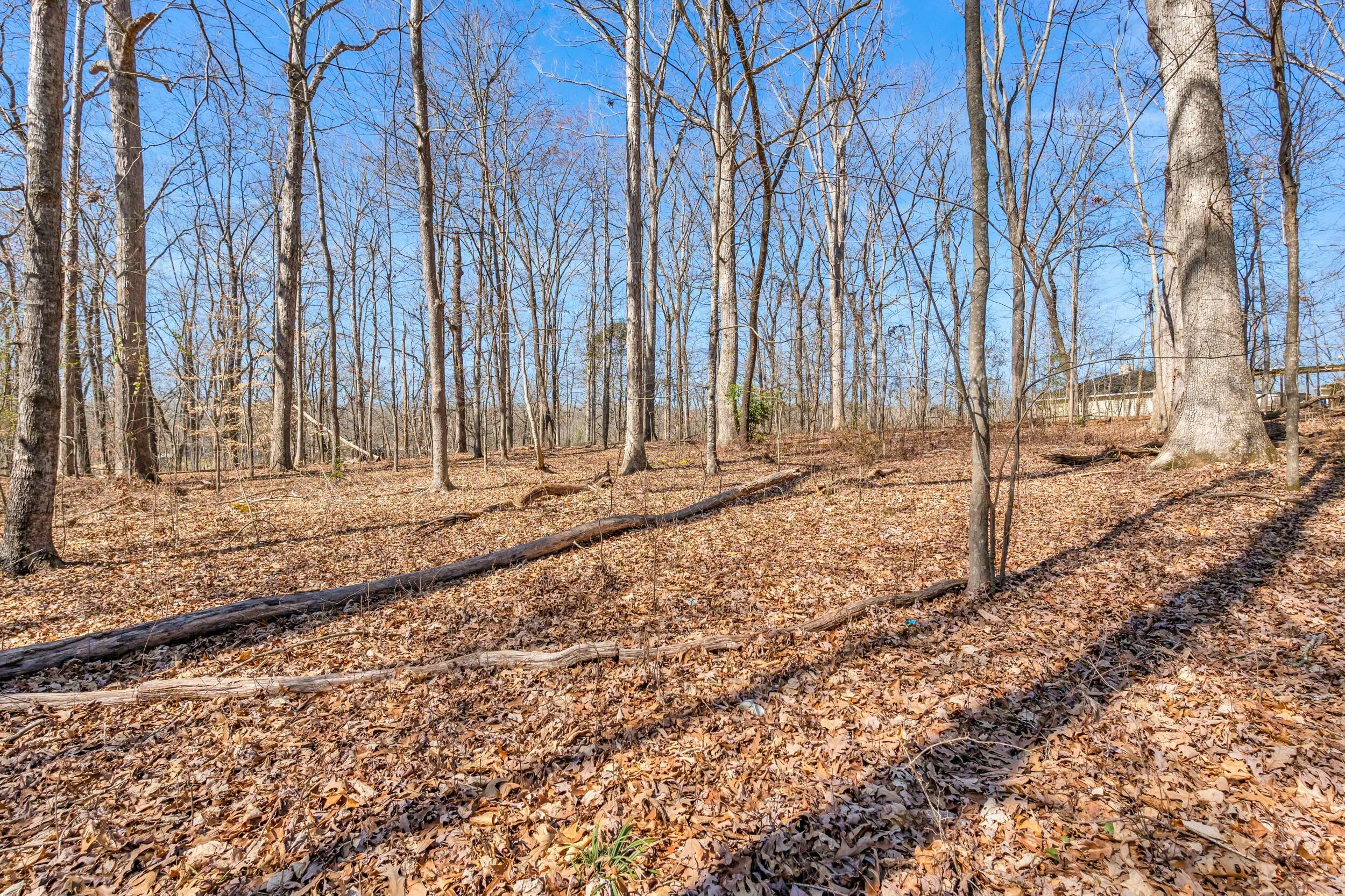 Dogwood Drive, Harrison, Tennessee image 15