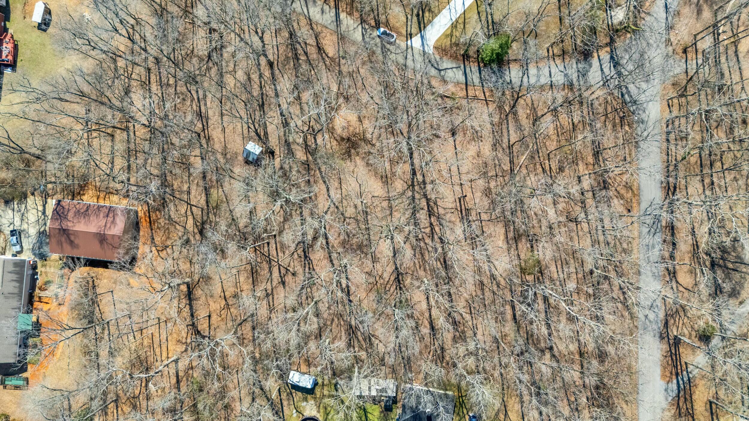 Dogwood Drive, Harrison, Tennessee image 12