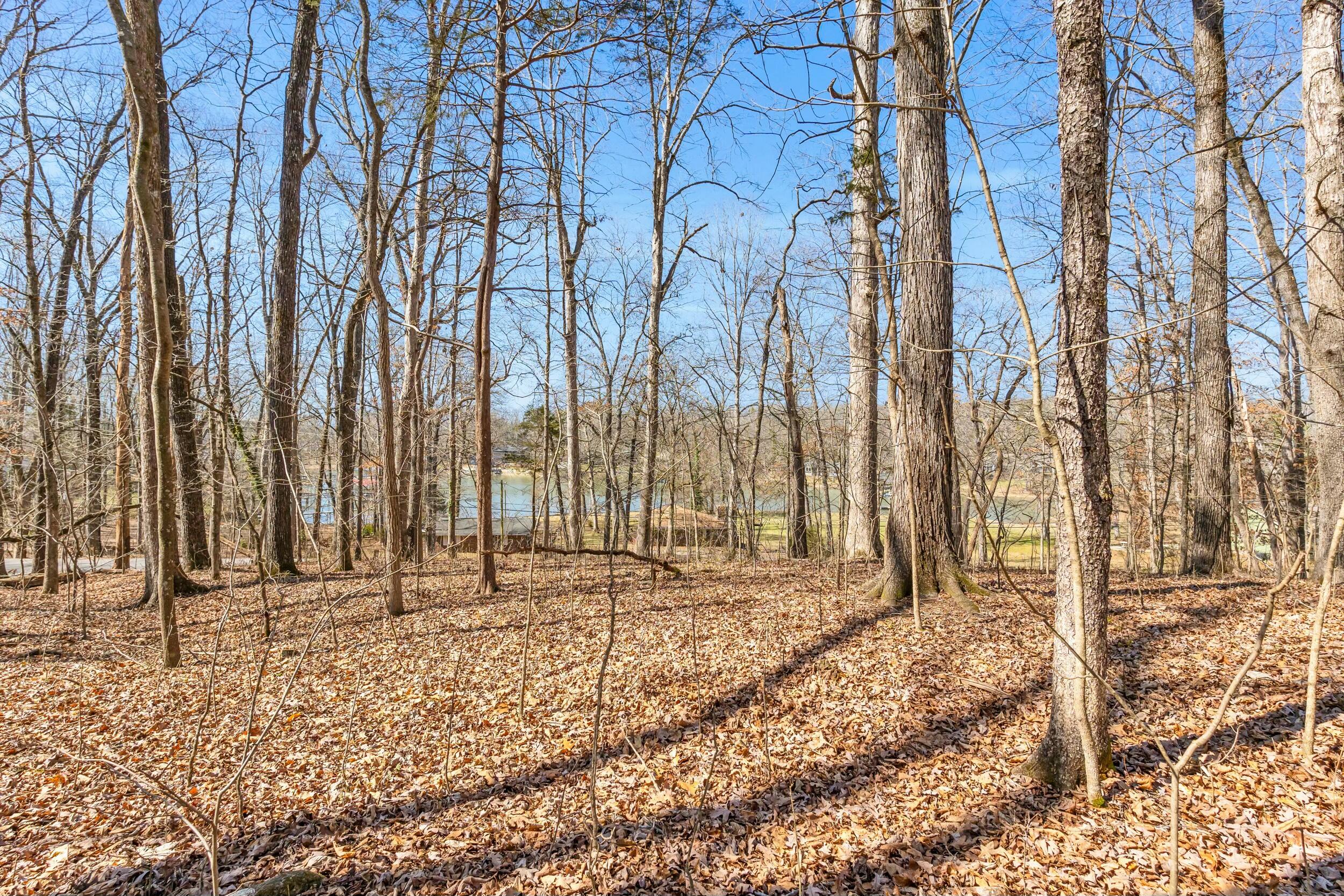 Dogwood Drive, Harrison, Tennessee image 16