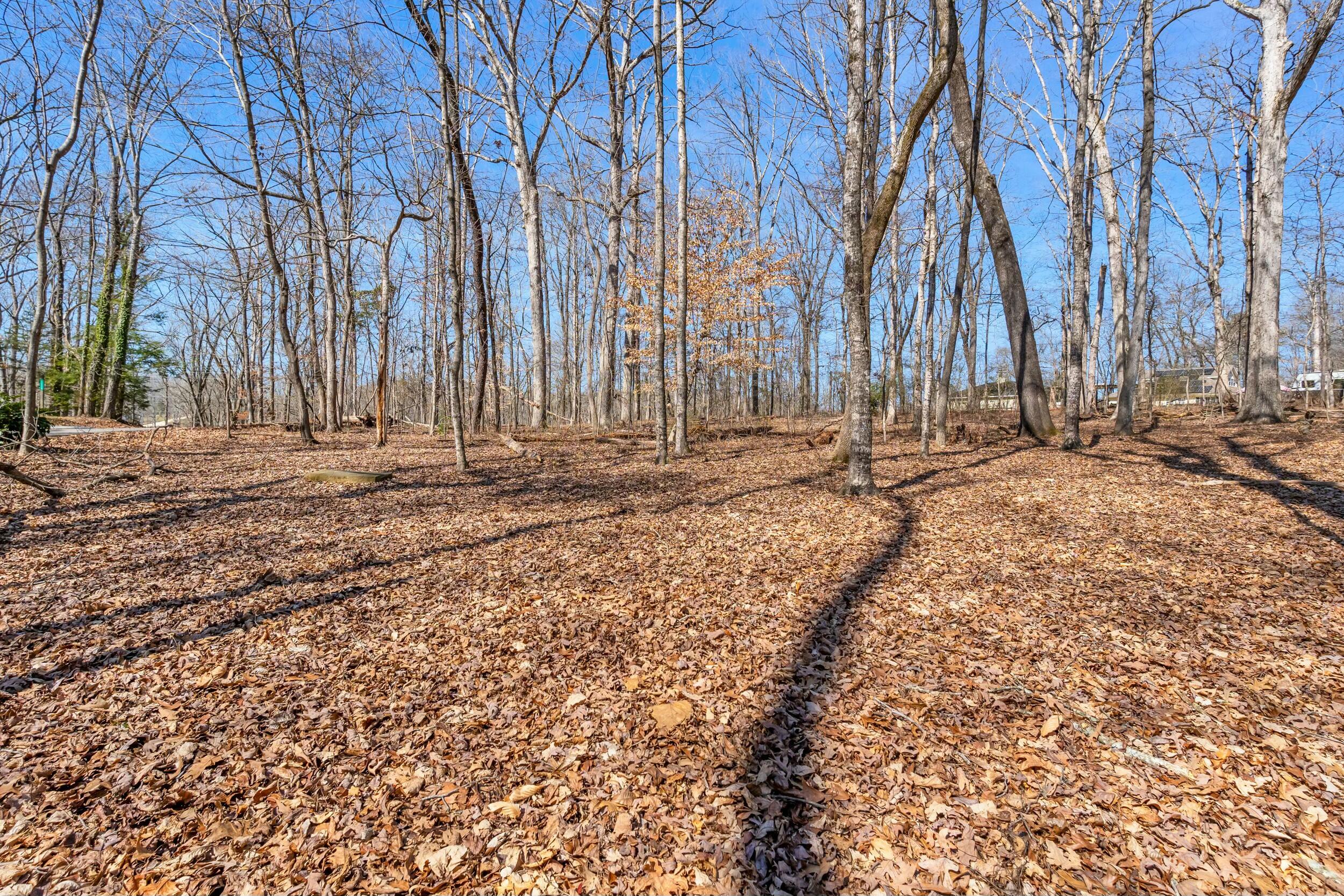 Dogwood Drive, Harrison, Tennessee image 14