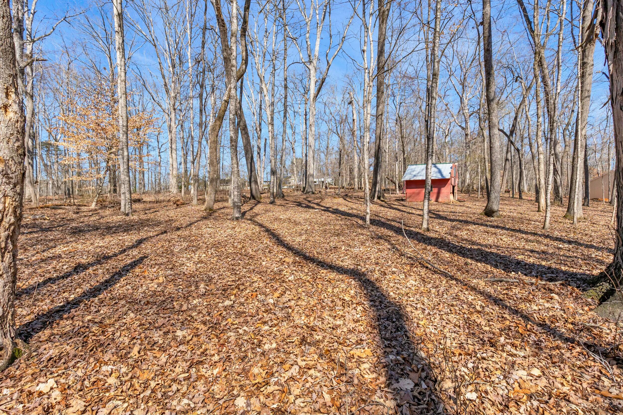 Dogwood Drive, Harrison, Tennessee image 13