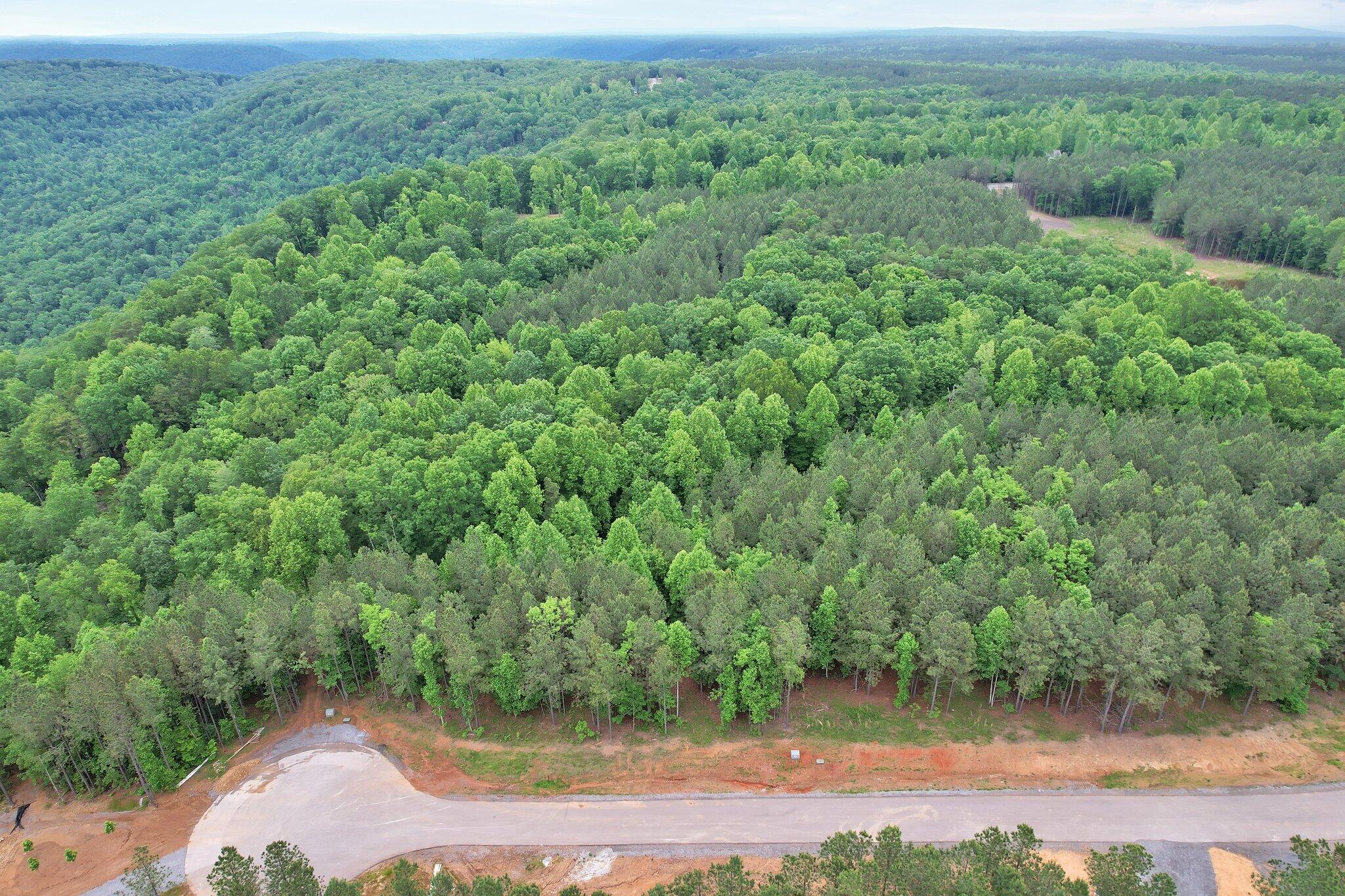 Waterwheel Way #337, Jasper, Tennessee image 8