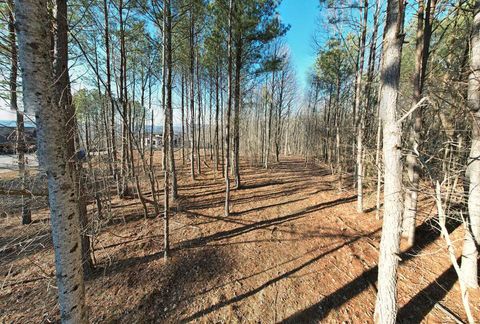 Photo of 0 Waterwheel Way, Jasper, TN 37347 (MLS # 1372605)