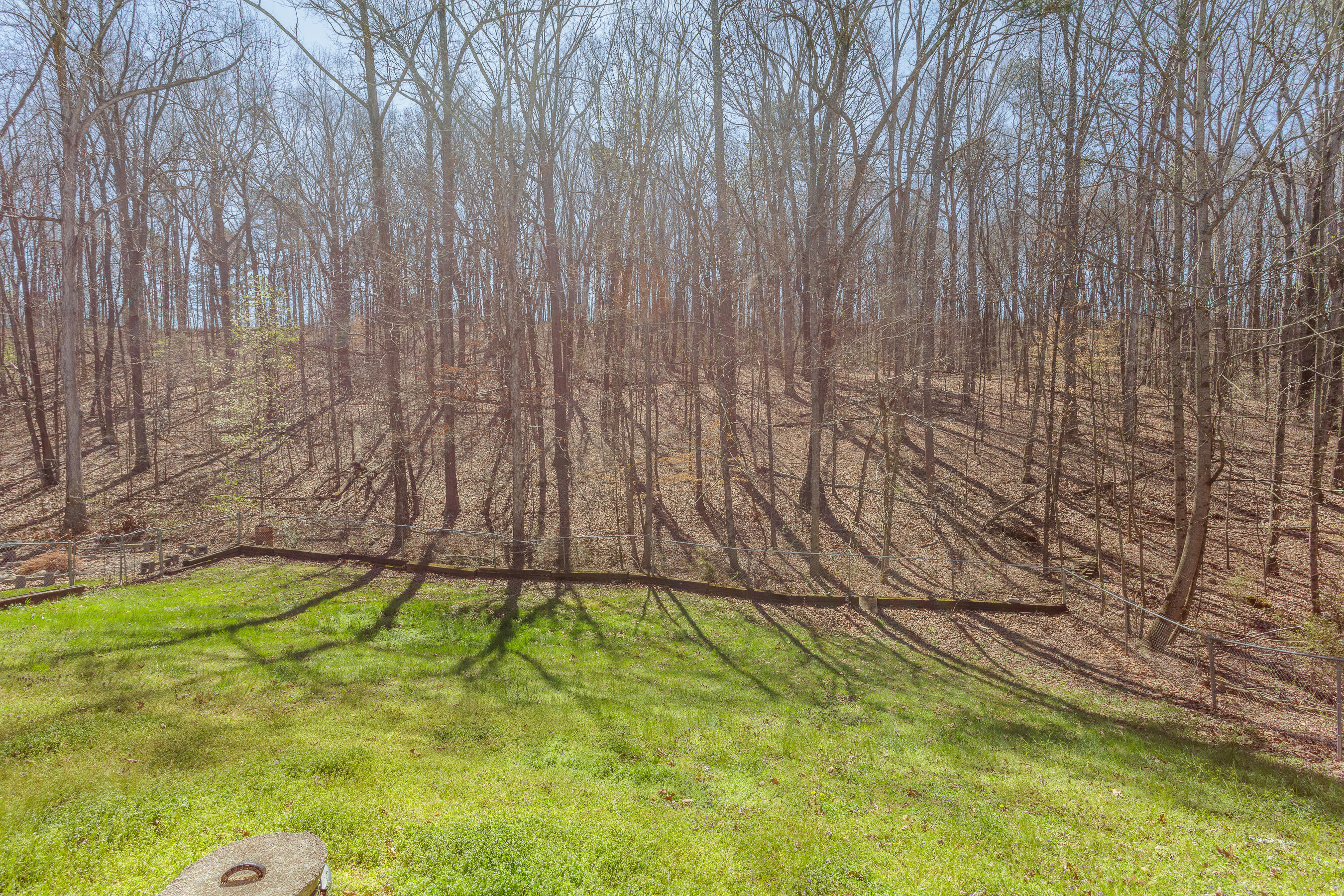148 Windbrook Drive, Tunnel Hill, Georgia image 3