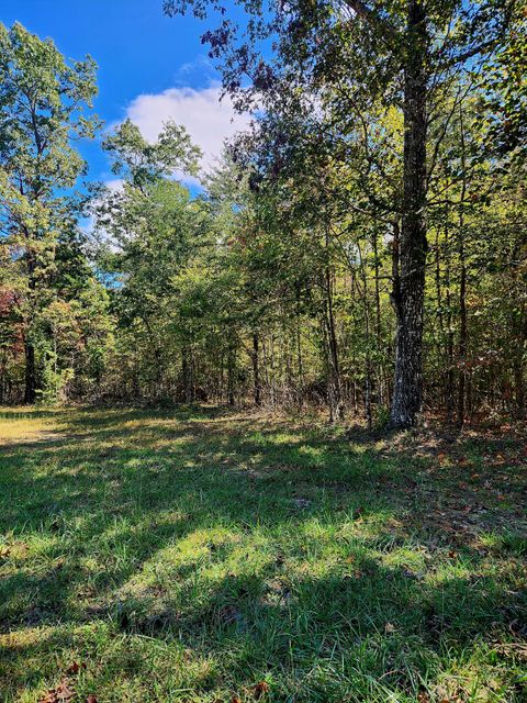 Vacant Land For Sale - Long Branch Road<br/> Spencer, TN 38585