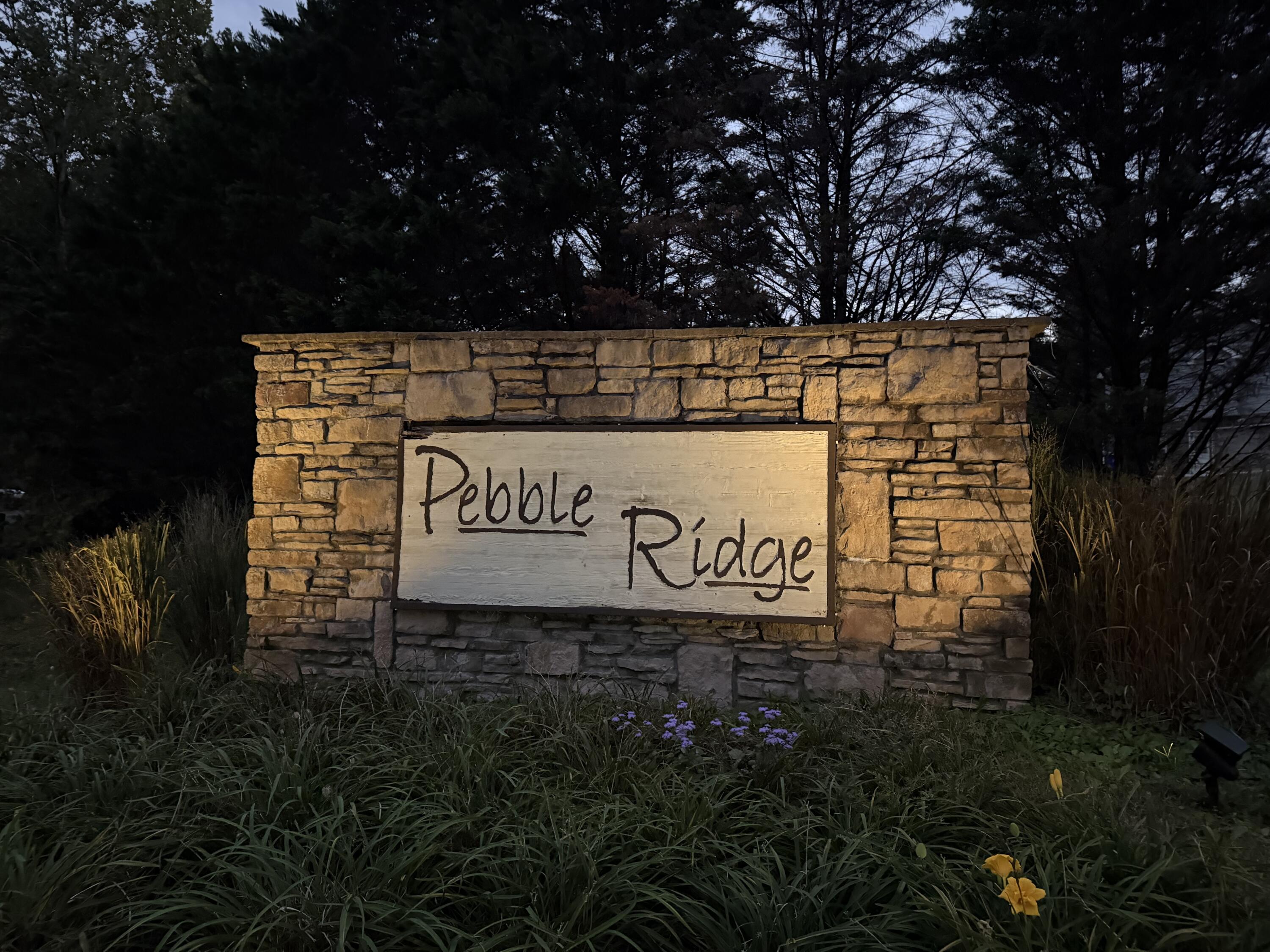290 Pebble Ridge Drive SE