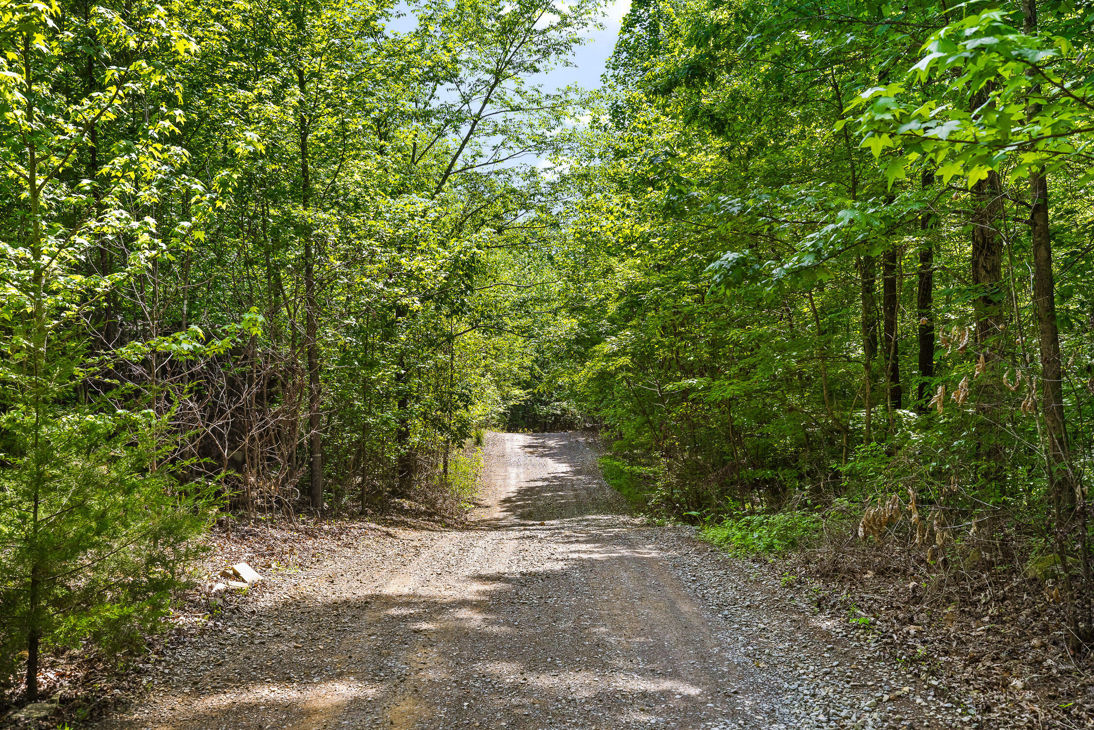 25 Acres Valley View Highway, Whitwell, Tennessee image 10