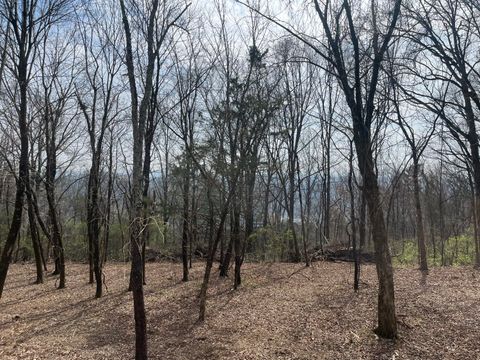 Photo of 1422 Sunset Drive, Signal Mountain, TN 37377 (MLS # 1529336)