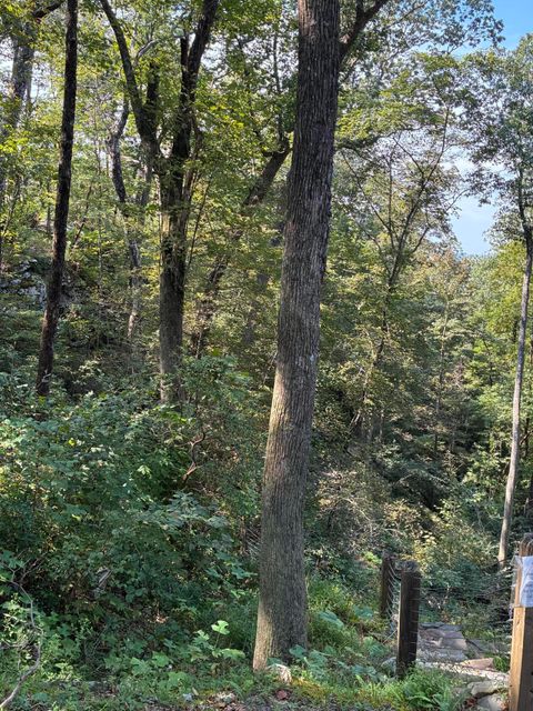Tiny photo for 2795 Raulston Falls Road, Jasper, TN 37347 (MLS # 1512894)
