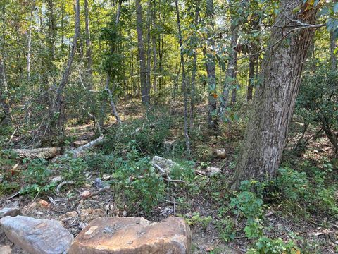 Tiny photo for 2795 Raulston Falls Road, Jasper, TN 37347 (MLS # 1512894)