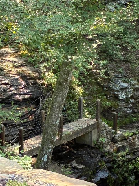 Tiny photo for 2795 Raulston Falls Road, Jasper, TN 37347 (MLS # 1512894)