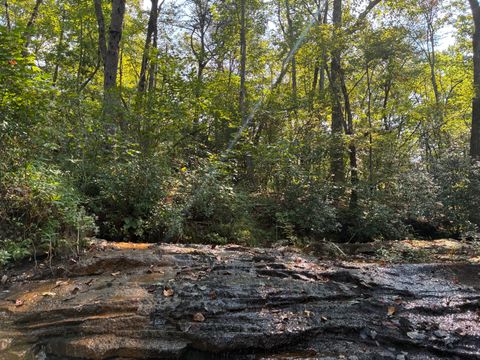 Tiny photo for 2795 Raulston Falls Road, Jasper, TN 37347 (MLS # 1512894)