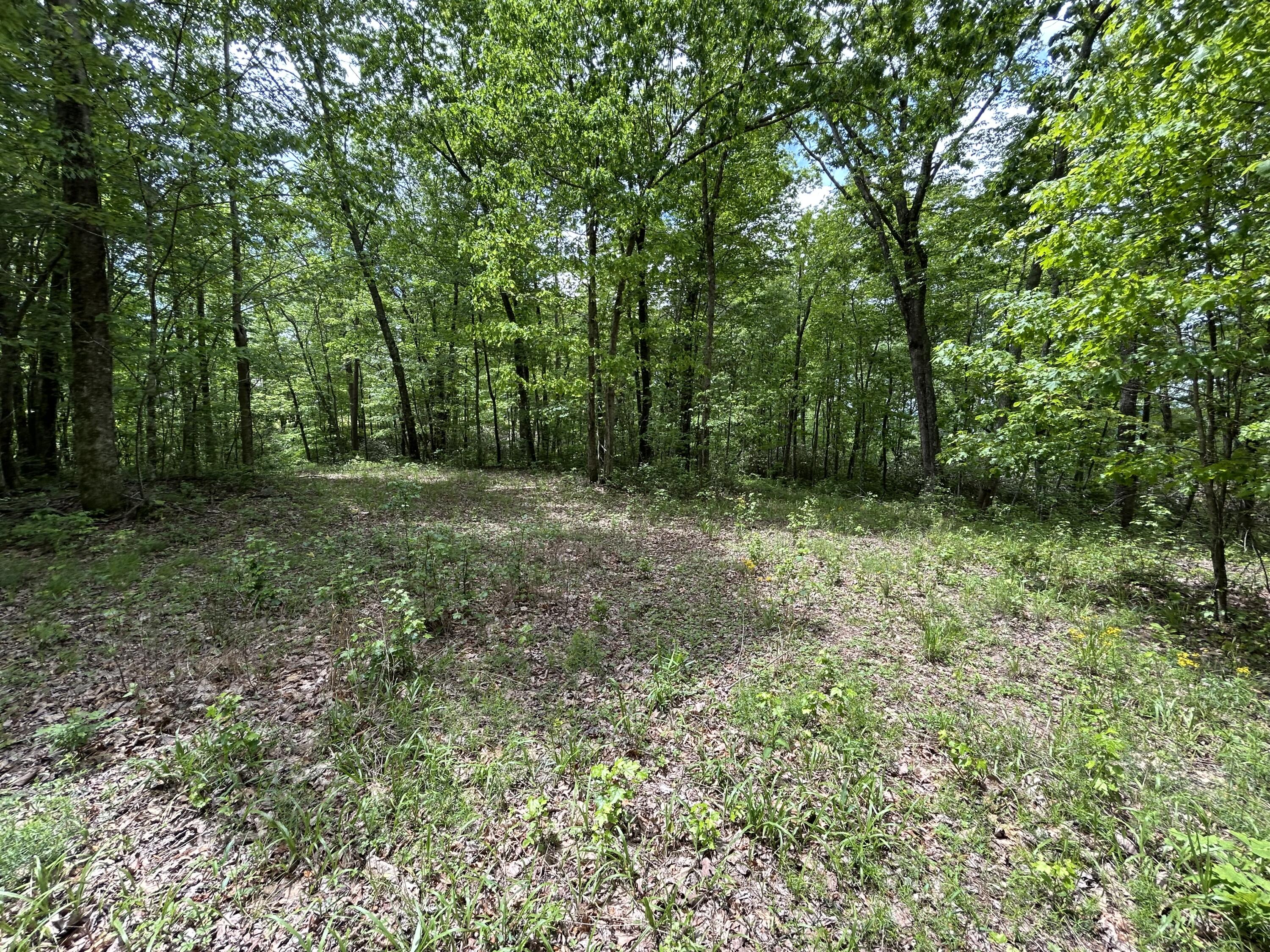 2795 Raulston Falls Road #JF-5, Jasper, Tennessee image 9