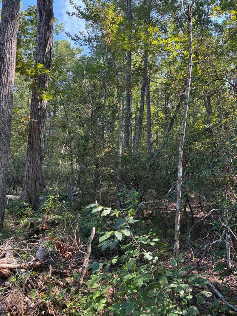 Tiny photo for 2795 Raulston Falls Road, Jasper, TN 37347 (MLS # 1512894)
