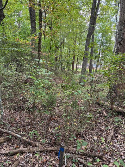 Tiny photo for 2795 Raulston Falls Road, Jasper, TN 37347 (MLS # 1512894)