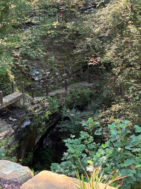 Tiny photo for 2795 Raulston Falls Road, Jasper, TN 37347 (MLS # 1512894)