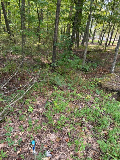 Tiny photo for 2795 Raulston Falls Road, Jasper, TN 37347 (MLS # 1512894)