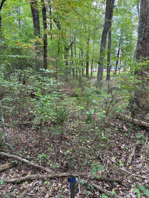 Tiny photo for 2795 Raulston Falls Road, Jasper, TN 37347 (MLS # 1512894)
