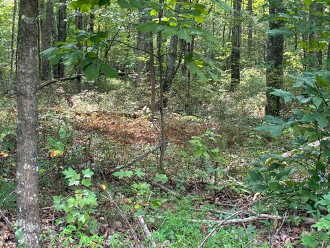 Tiny photo for 2795 Raulston Falls Road, Jasper, TN 37347 (MLS # 1512894)