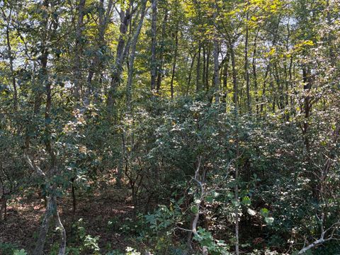 Tiny photo for 2795 Raulston Falls Road, Jasper, TN 37347 (MLS # 1512894)