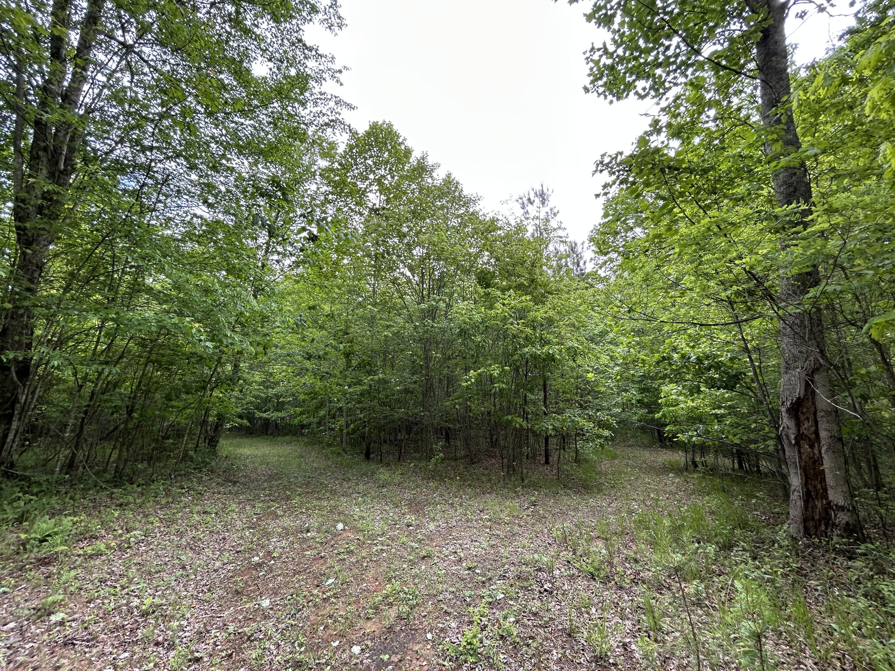 2795 Raulston Falls Road #JF-5, Jasper, Tennessee image 10