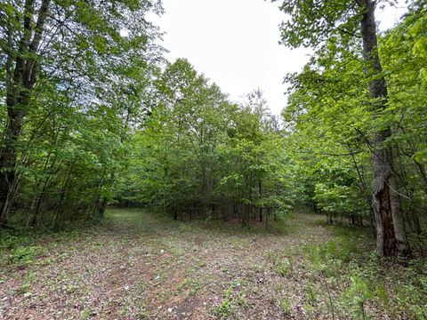 Tiny photo for 2795 Raulston Falls Road, Jasper, TN 37347 (MLS # 1512894)