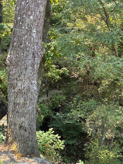 Tiny photo for 2795 Raulston Falls Road, Jasper, TN 37347 (MLS # 1512894)
