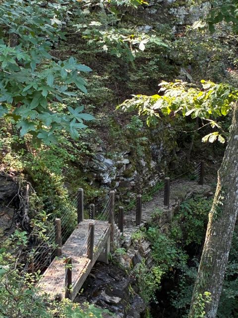 Tiny photo for 2795 Raulston Falls Road, Jasper, TN 37347 (MLS # 1512894)