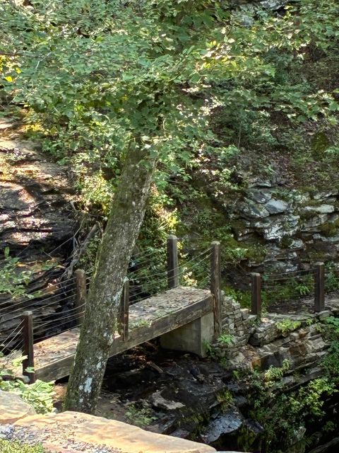 Tiny photo for 2795 Raulston Falls Road, Jasper, TN 37347 (MLS # 1512894)