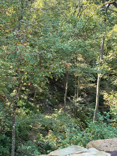 Tiny photo for 2795 Raulston Falls Road, Jasper, TN 37347 (MLS # 1512894)