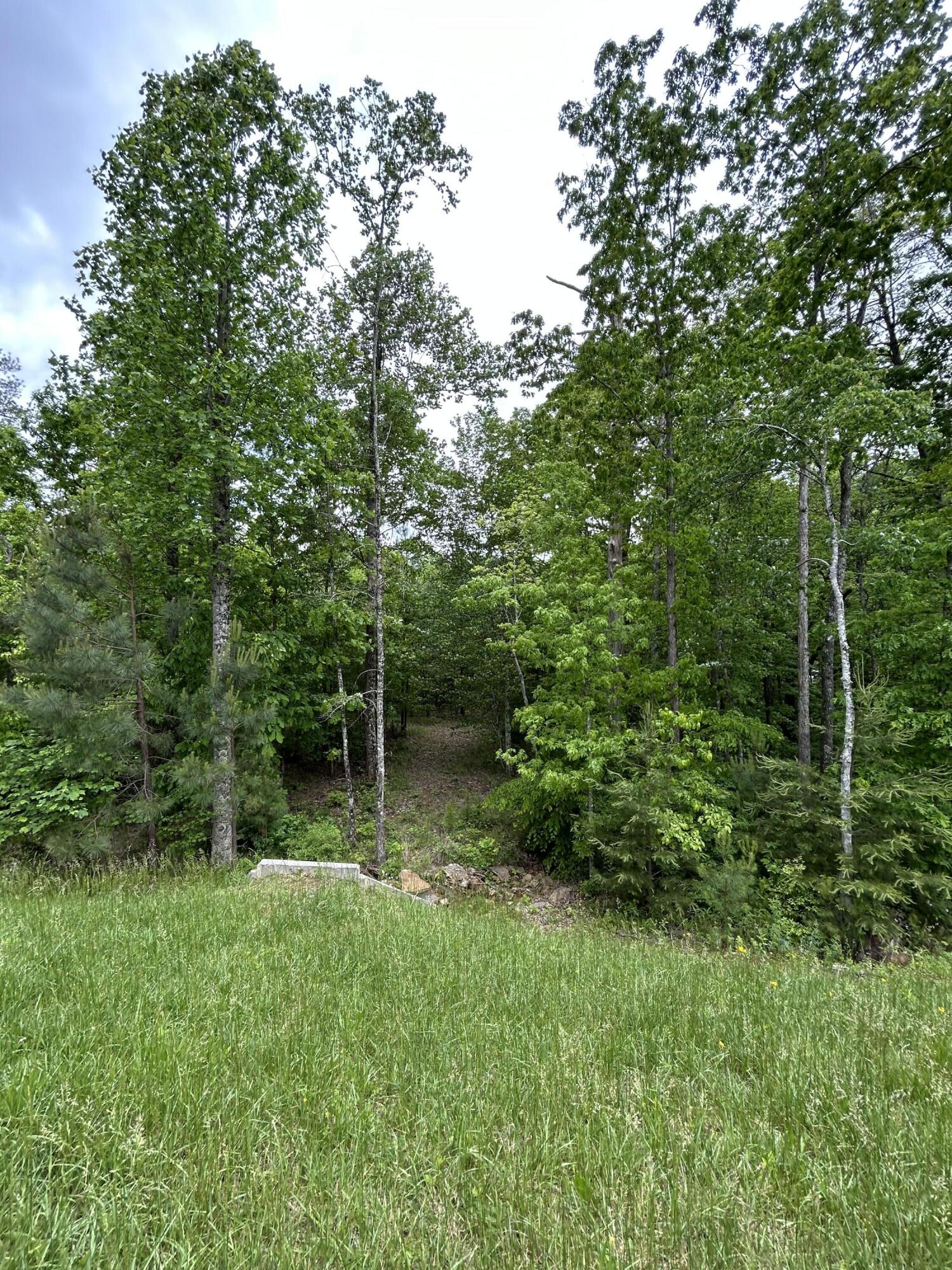 2795 Raulston Falls Road #JF-5, Jasper, Tennessee image 12