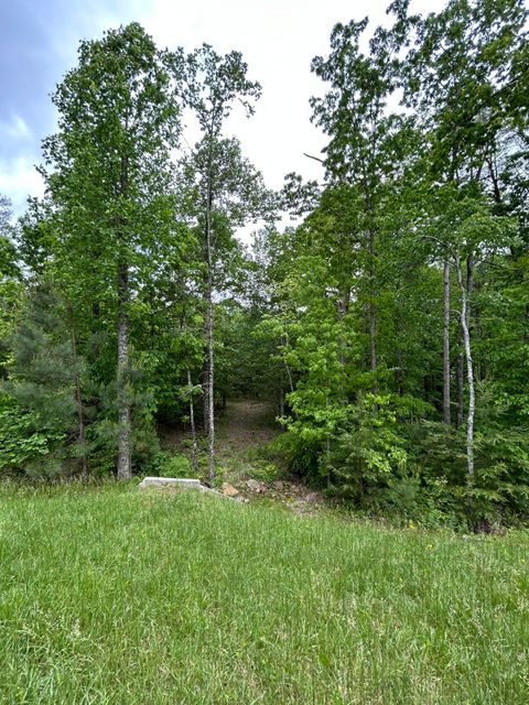 Tiny photo for 2795 Raulston Falls Road, Jasper, TN 37347 (MLS # 1512894)