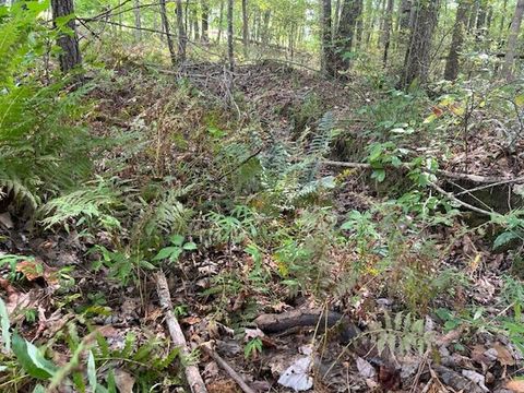 Tiny photo for 2795 Raulston Falls Road, Jasper, TN 37347 (MLS # 1512894)